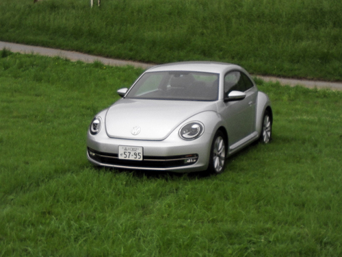 beetle_02.jpg