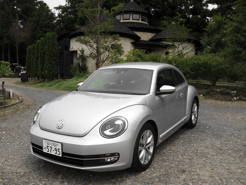 beetle_05.jpg